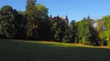 vue du parc et de ses grands arbres © Hervé Frumy